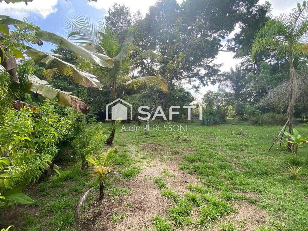 Photo 4 - Maison à MATOURY