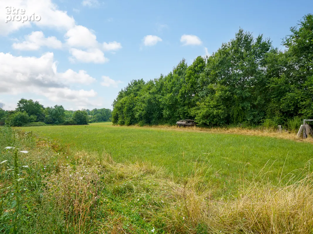 Hangar Creches Sur Saone 853 m2 - photo 6