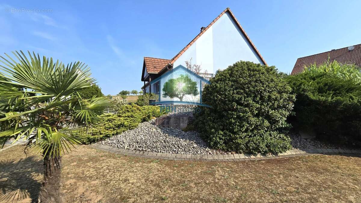 Mertzwiller (67) - maison 6 pieces 149 m² - photo 2