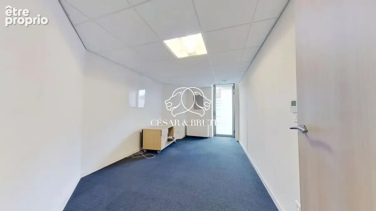 Appartement 390 m² à vendre à Panissieres (42360) - photo 6