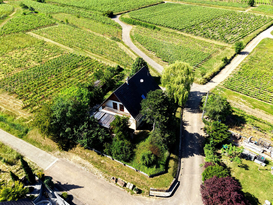 Maison - 191m2 - 6 chambres - Terrain 1053m2 - En limite de zone constructible en haut de Zellenberg ! - photo 3