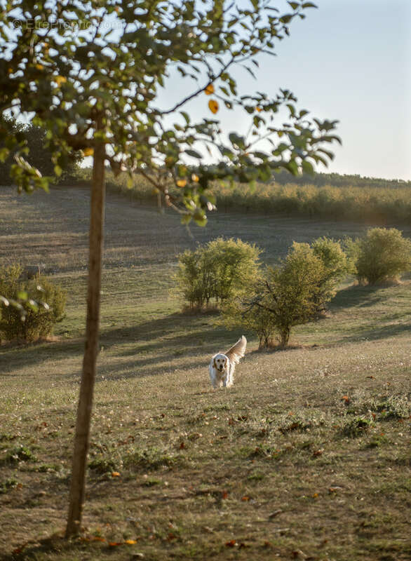 Maison à SAVIGNAC-SUR-LEYZE