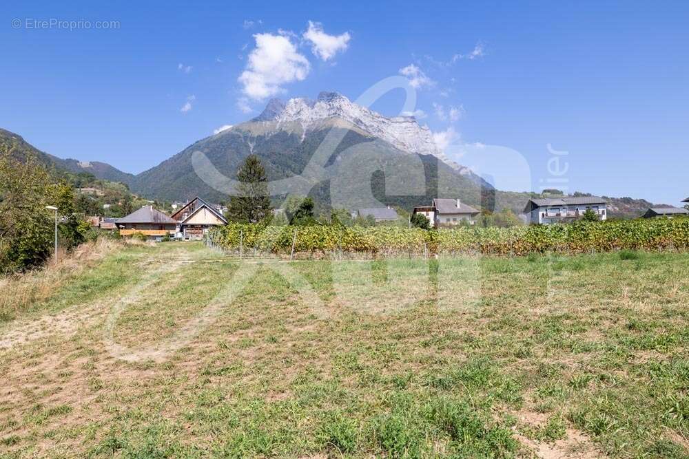 Terrain viabilisé (Lot 8) - Terrain à SAINT-PIERRE-D&#039;ALBIGNY