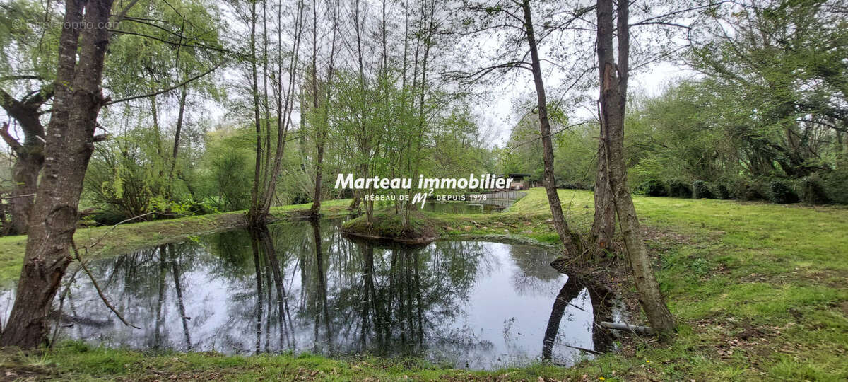 Terrain à SAINT-PIERRE-DU-LOROUER