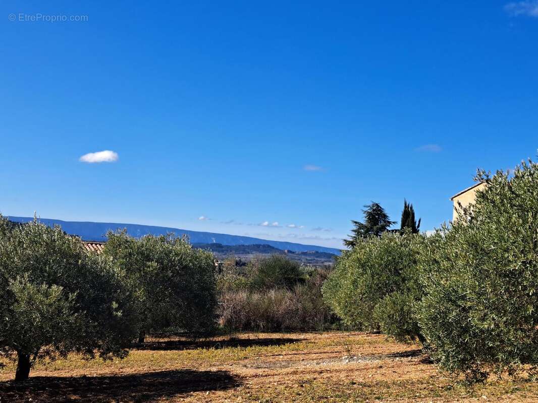 Photo 2 - Terrain à SAINT-SATURNIN-LES-APT