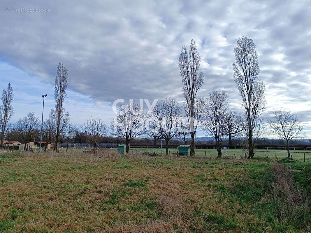 Terrain à SAINTE-FOY-SAINT-SULPICE