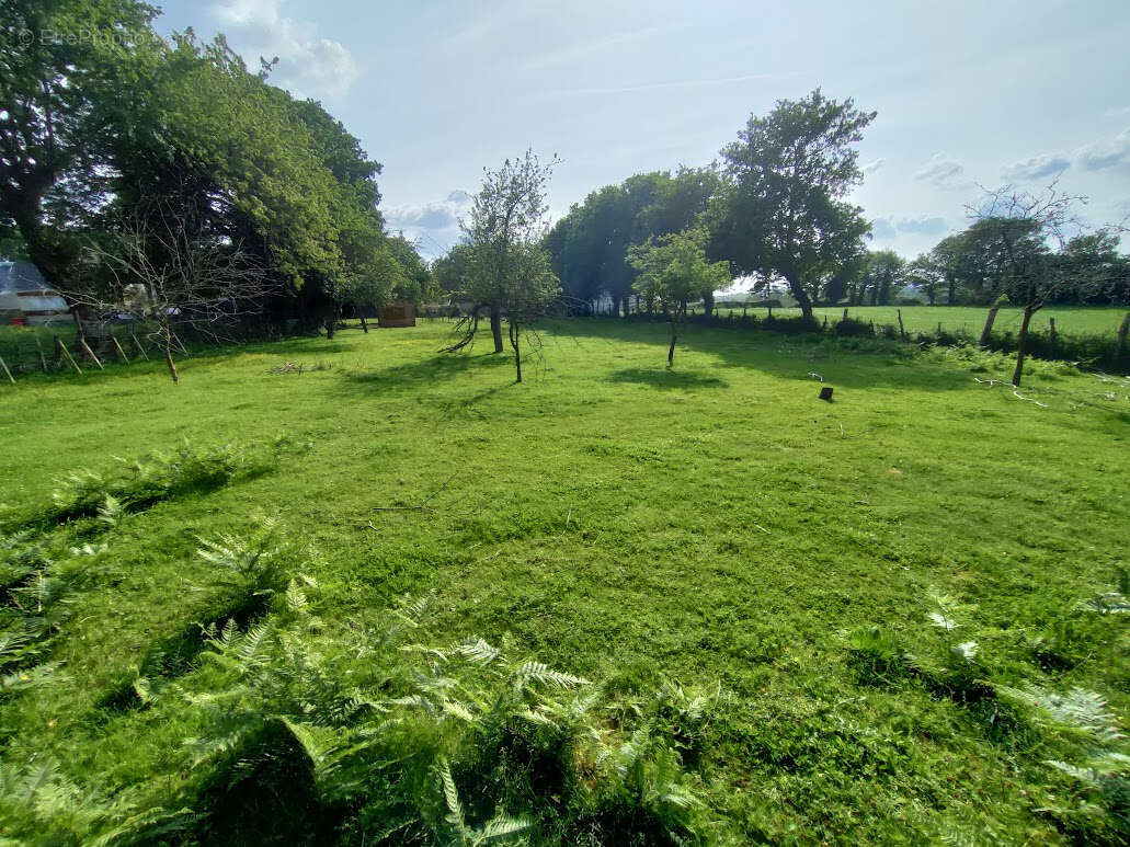 Terrain constructible 2259 m² ? Loyat ? 44 990  FAI - photo 2