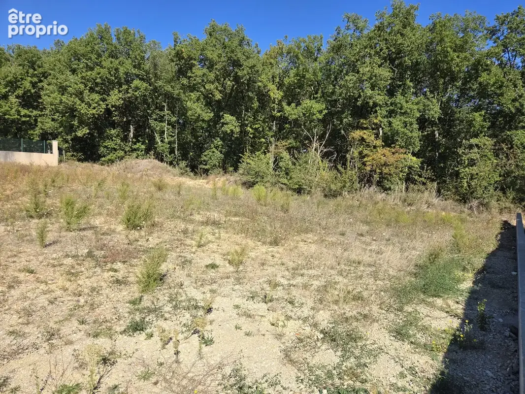 Terrain 1 223 m² à vendre à Valdivienne (86300) - photo 4