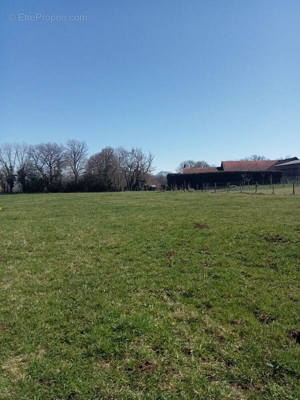 Terrain à BROMONT-LAMOTHE