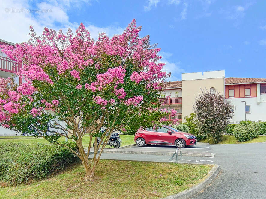 Appartement à SAINT-JEAN-DE-LUZ