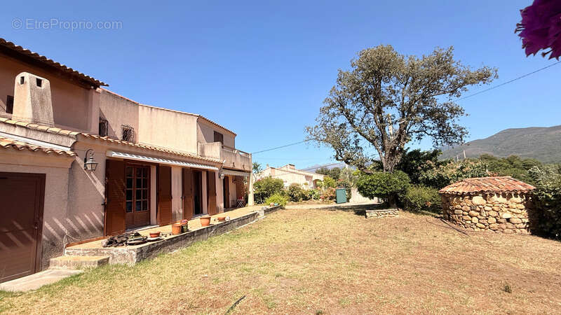 ECCICA-SUARELLA (Corse) : Maison T4, caseddu en pierre, garage, terrain piscinable, vue dégagée - photo 10