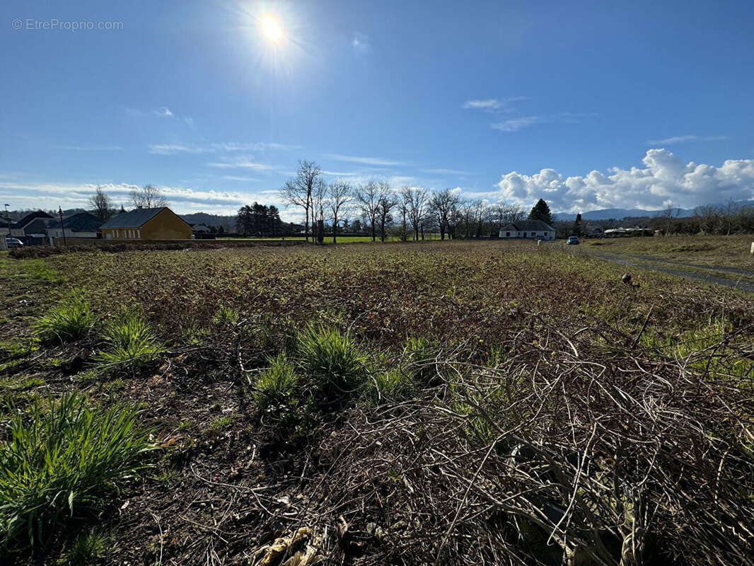 Terrain à LAMARQUE-PONTACQ