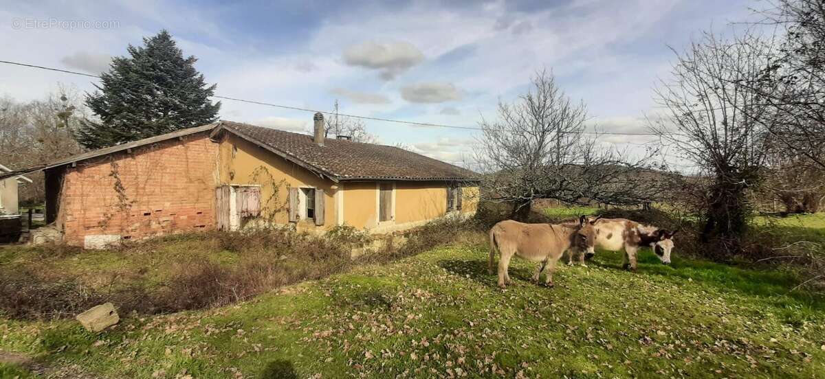 Maison à BAZAS