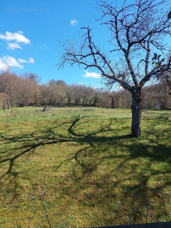 Maison à DAUMAZAN-SUR-ARIZE