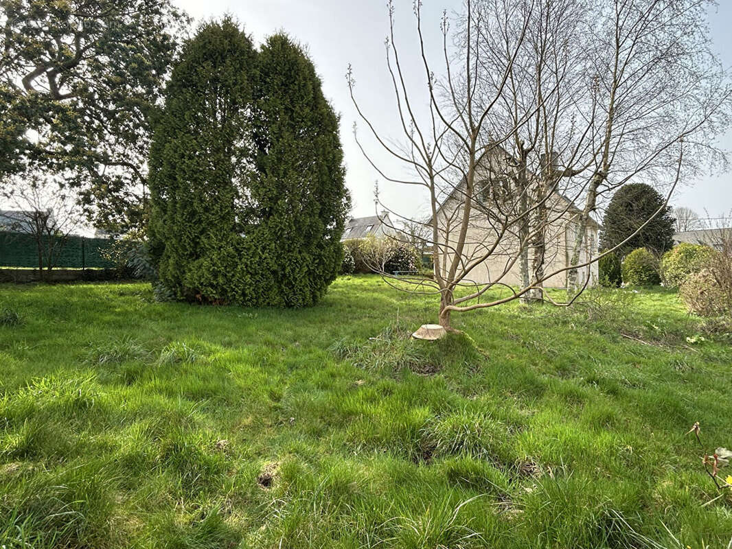 Maison à PLOUIGNEAU