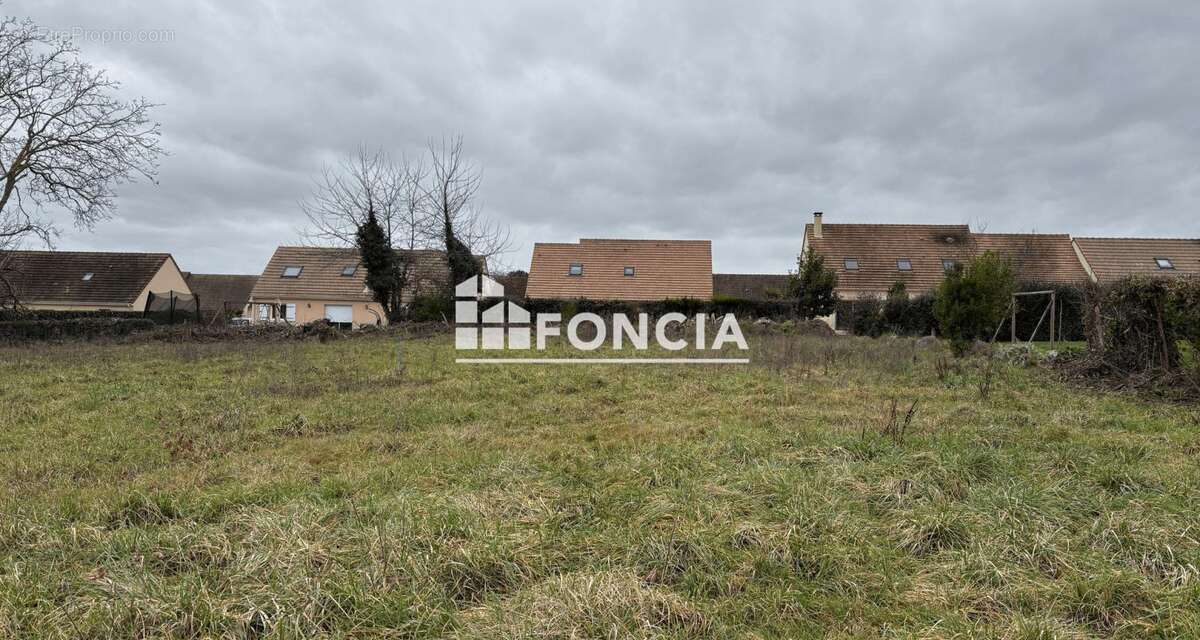 Terrain à SAINT-JEAN-D'ASSE