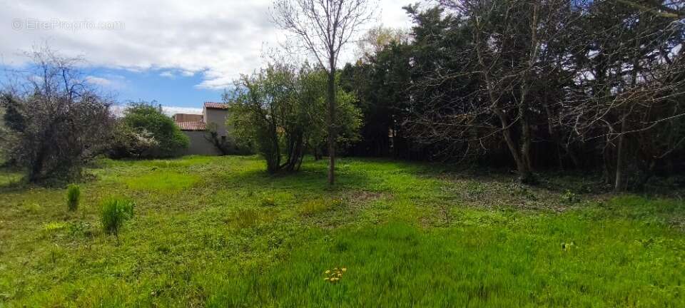 Terrain à MONTELIMAR