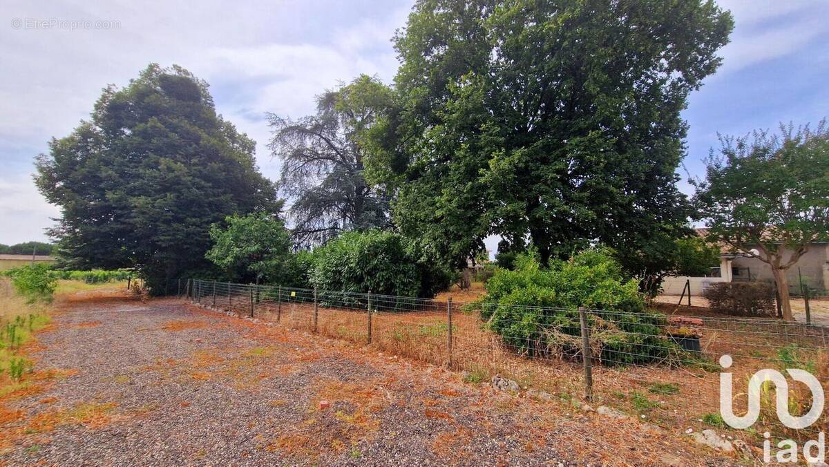 Photo 1 - Terrain à PORTETS