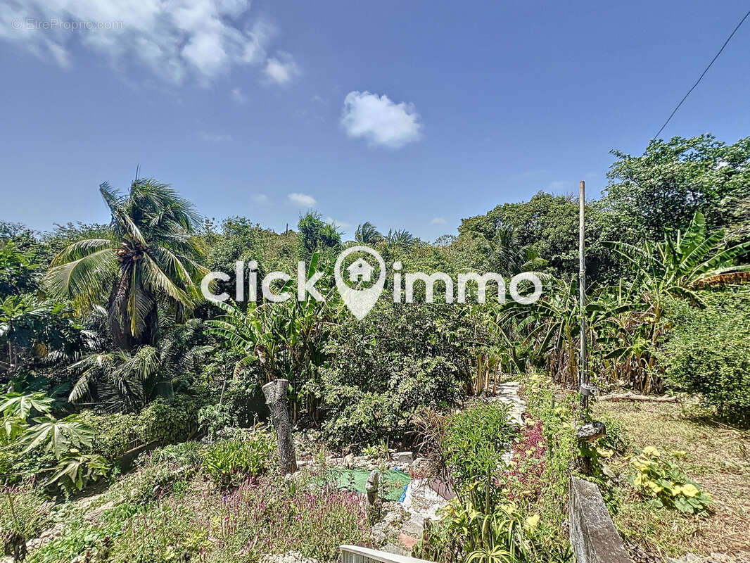 Maison à SAINTE-ANNE