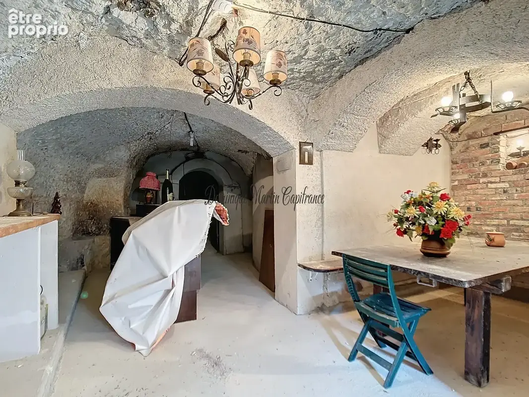 COUTURE SUR LOIR (dpt 41),Maison à vendre 85m²- 4 pièces-dépendance-garage-caves - terrain 2372m² - photo 20