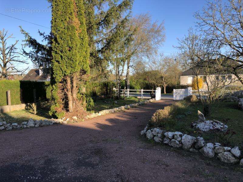 Nouveaute sud loire immobilier - photo 2