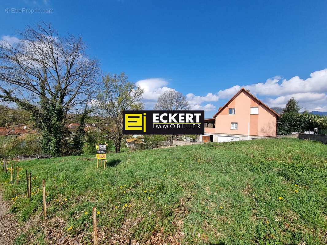 Terrain à NIEDERHASLACH