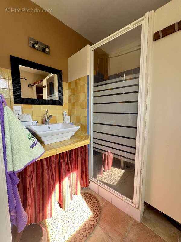 Maison à SAINT-ROMAIN-EN-VIENNOIS