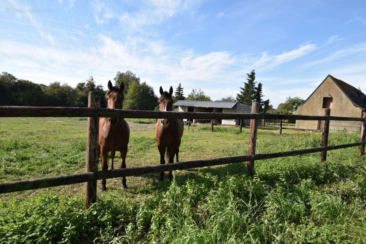 Ferme sur 30 ha avec longere et dependance - photo 23