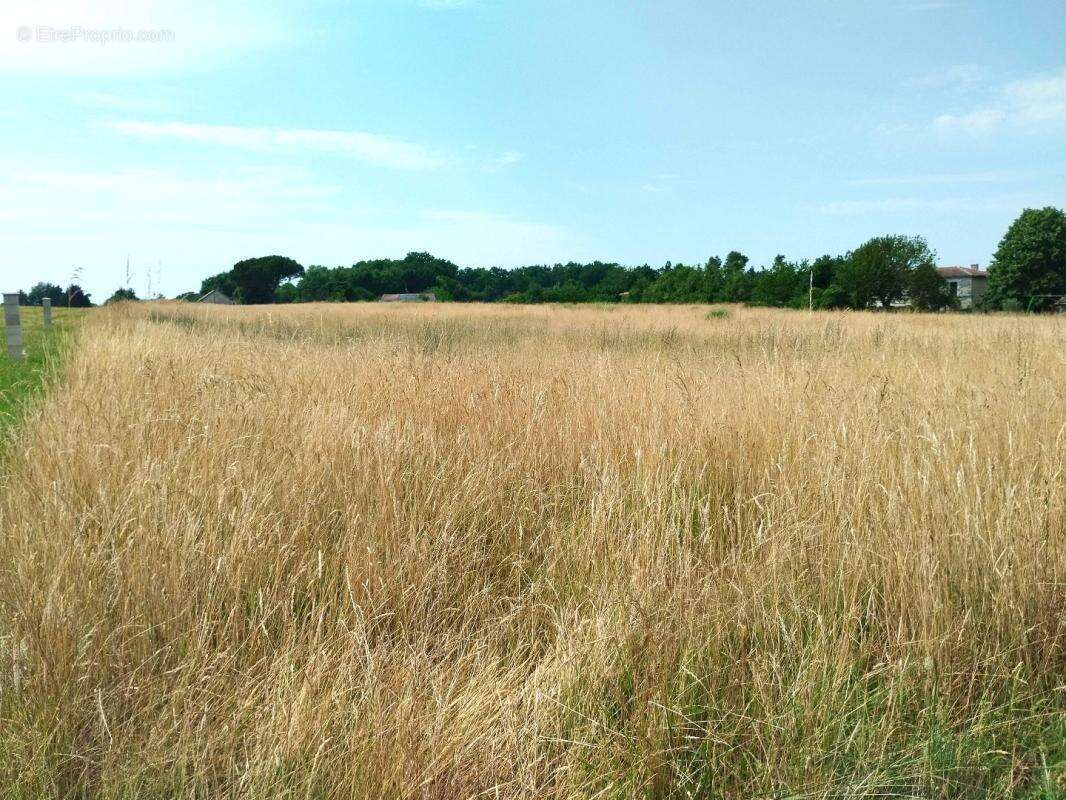 Terrain 2546 m² à Merignac  - photo 3