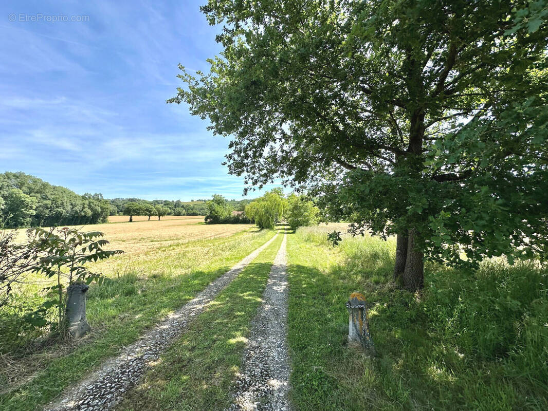à vendre VIC FEZENSAC maison de campagne isolée - Maison à VIC-FEZENSAC