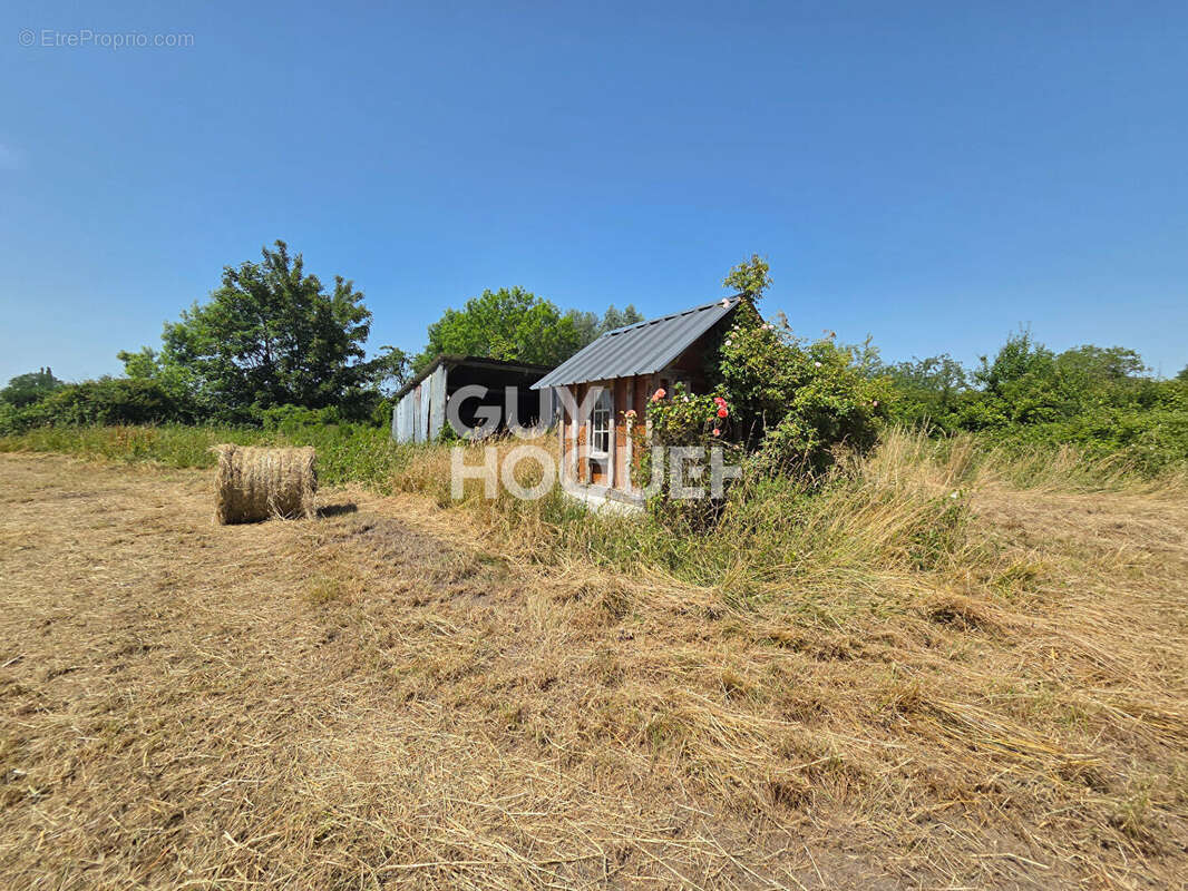 Terrain Heurteauville 7560 m2 - photo 6