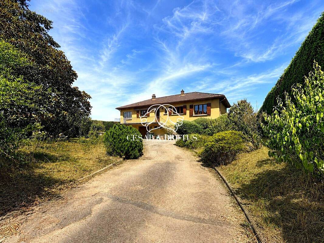 Maison à LA TOUR-DE-SALVAGNY
