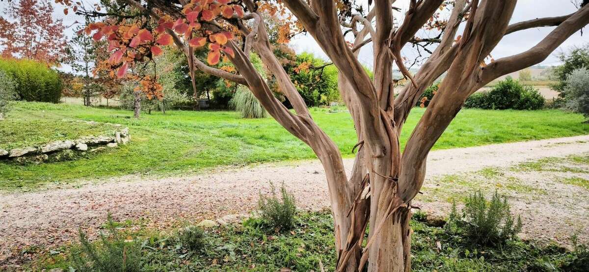 Maison à SAINT-AMANS-DE-PELLAGAL