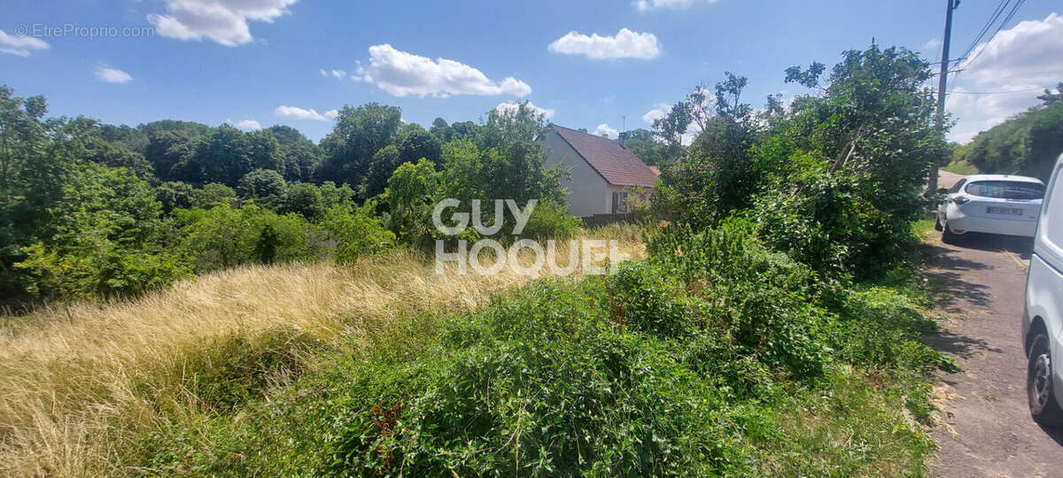 Terrain à LA FALAISE