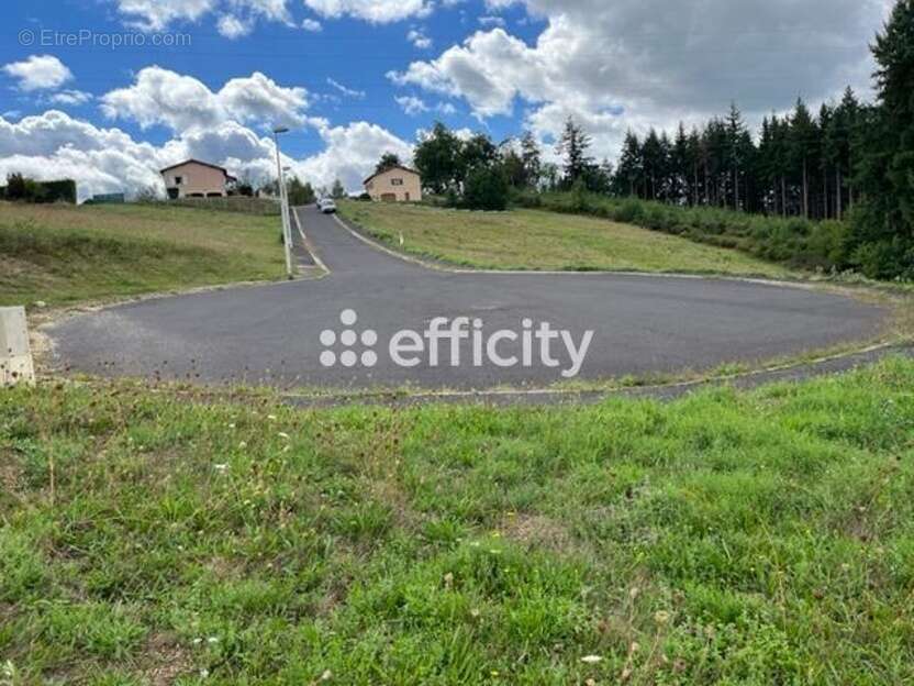 Terrain à LA MONNERIE-LE-MONTEL