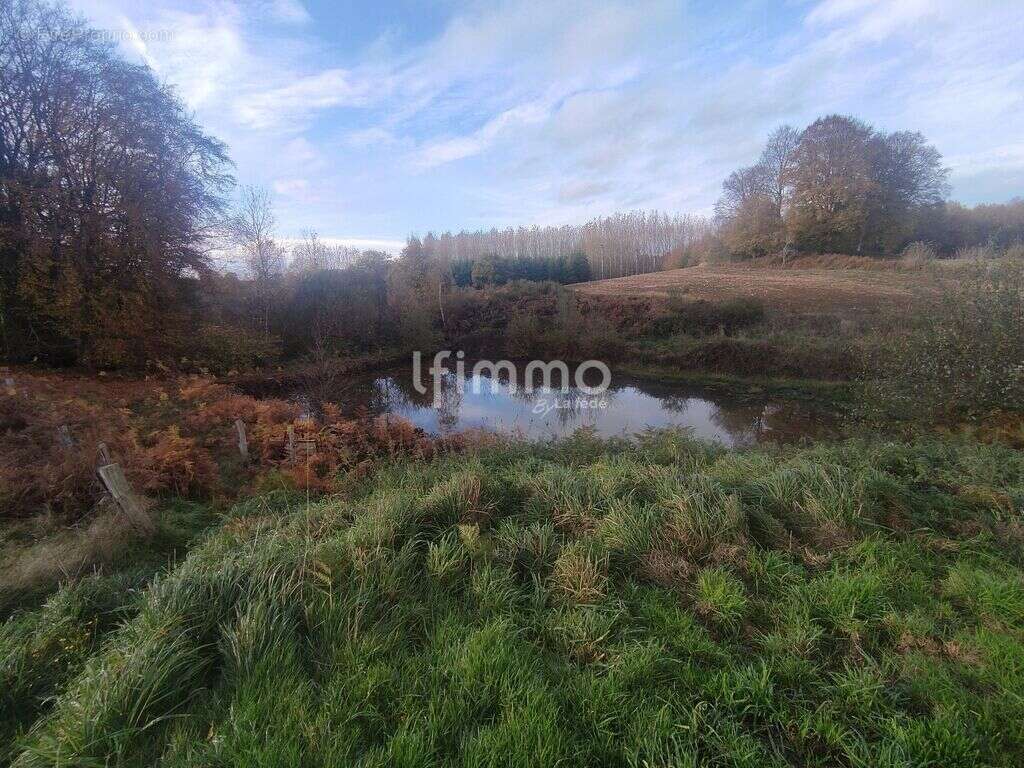 Maison + longère en pierre à rénover – Terrain de 9 000 m² avec - photo 9