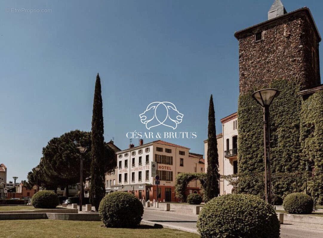 Appartement à ROANNE