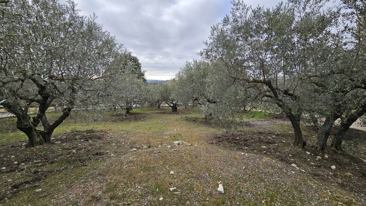 Terrain à MANOSQUE