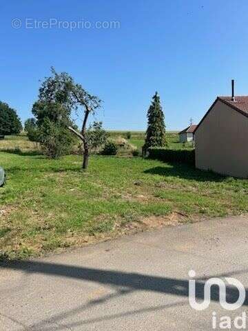 Photo 2 - Terrain à MONT-SAINT-MARTIN