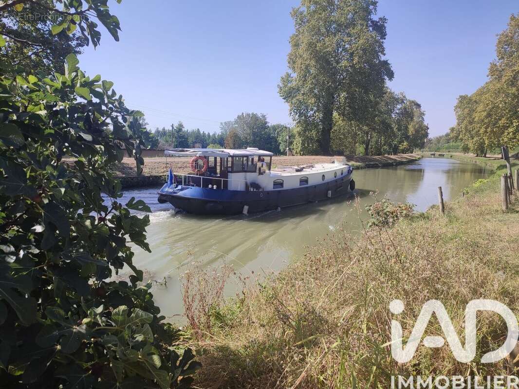 Photo 4 - Terrain à MALAUSE