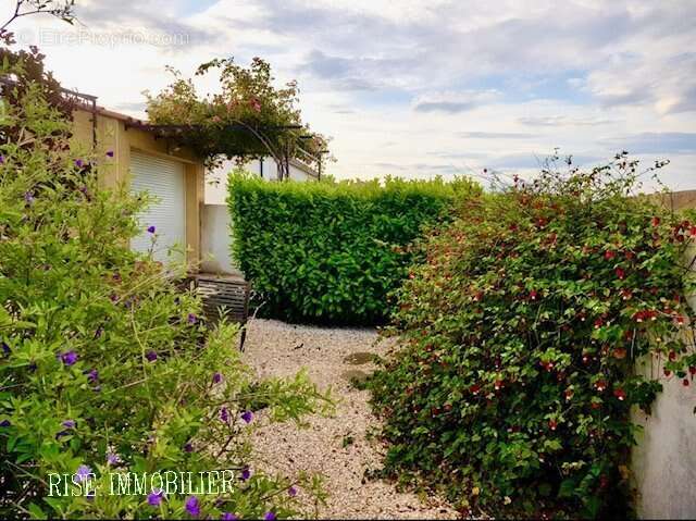 Maison à LA REDORTE