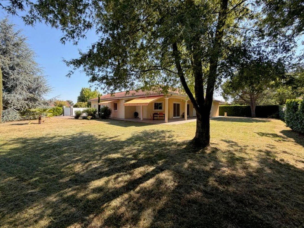 Maison à VILLARS-LES-DOMBES