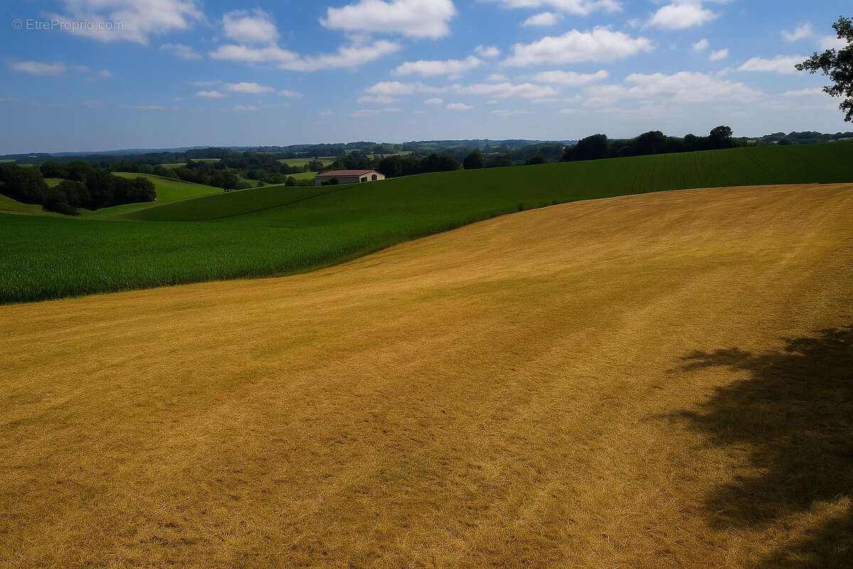 Photo 3 - Terrain à LUXE-SUMBERRAUTE