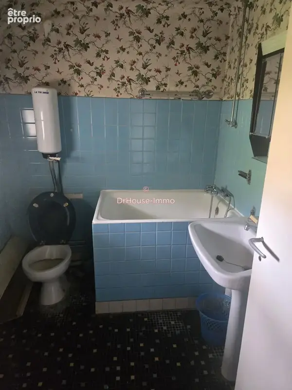 Maison 10 pièces 260 m² à vendre à Chateau-Landon (77570) - photo 8