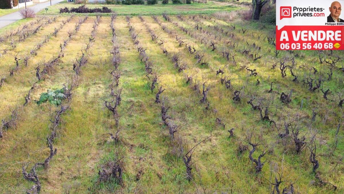 Terrain à SAINTE-CECILE-LES-VIGNES