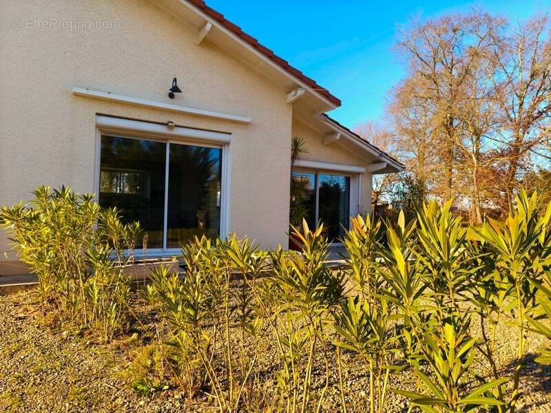 Maison à vendre 4 pièces AIRE SUR L'ADOUR (40) - photo 20