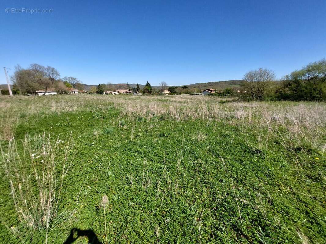 20260408154437 - Terrain à SAINT-MARTORY