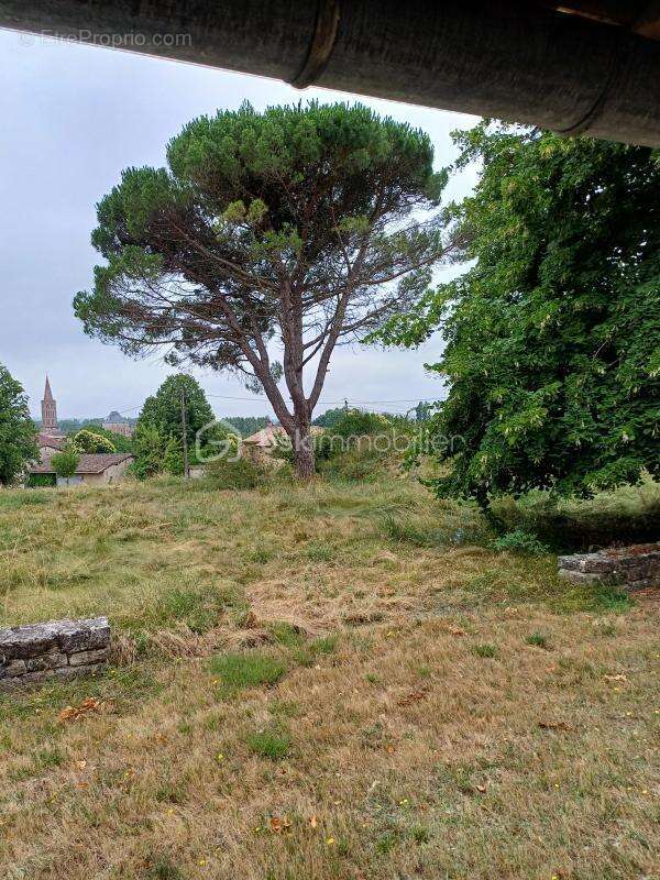 Maison à MONTRICOUX