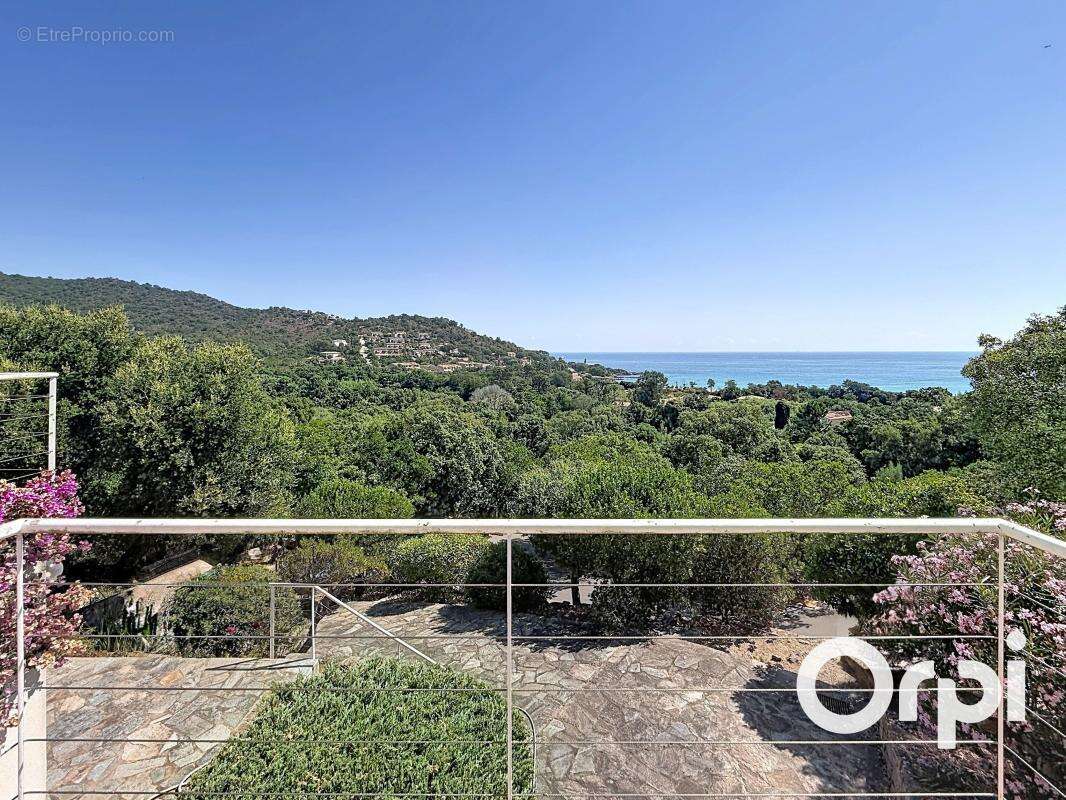 Villa  vue mer - Plage à pied - photo 13
