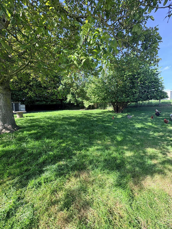 Maison 80 m² à Envronville  - photo 4
